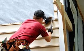 Best Custom Trim and Detailing for Siding  in Rowlett, TX